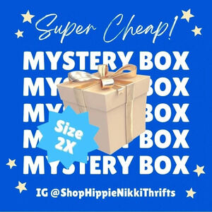 Mystery Box 5 lbs 4-7 items 4 CHEAP Womens Sz 2X Tops Shorts Pants Dress Skirts